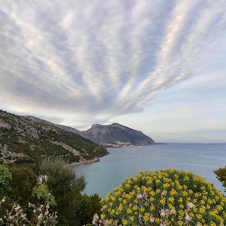 Appartamento A 50 Mt Dal Mare Кала-Гононе Экстерьер фото