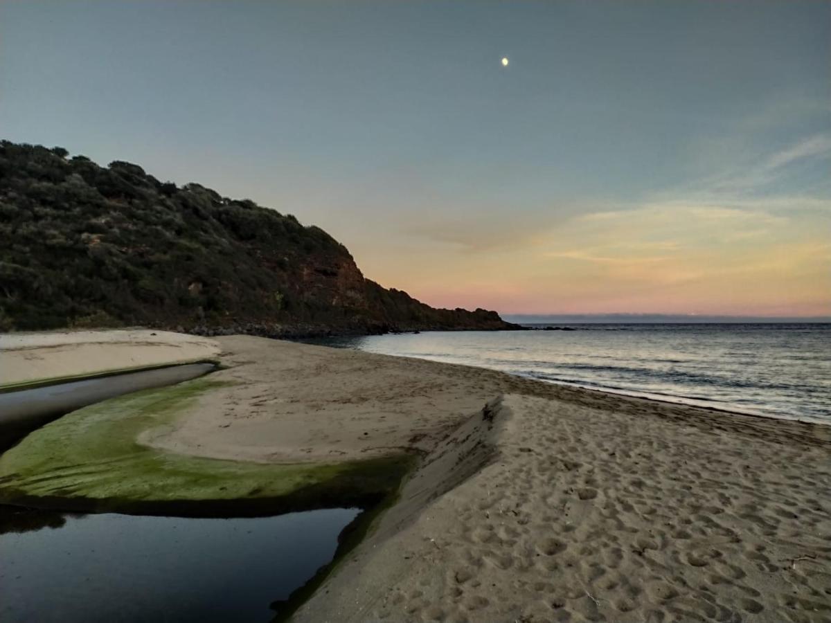 Appartamento A 50 Mt Dal Mare Кала-Гононе Экстерьер фото
